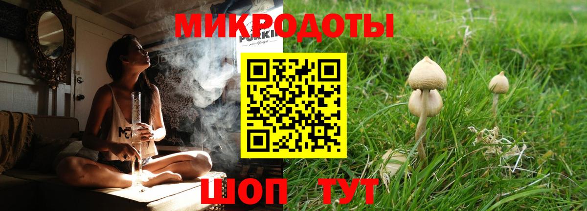 Псилоцибиновые грибы MAGIC MUSHROOMS Печора